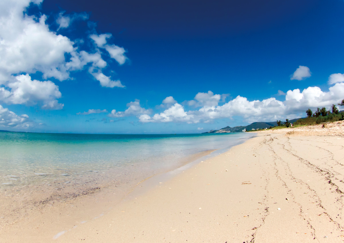 南国・沖縄らしい鮮やかな色彩