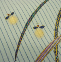 蛍文[ほたるもん]