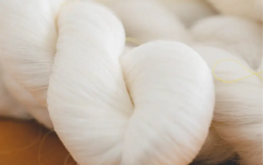 Reborn The Silkプロジェクト