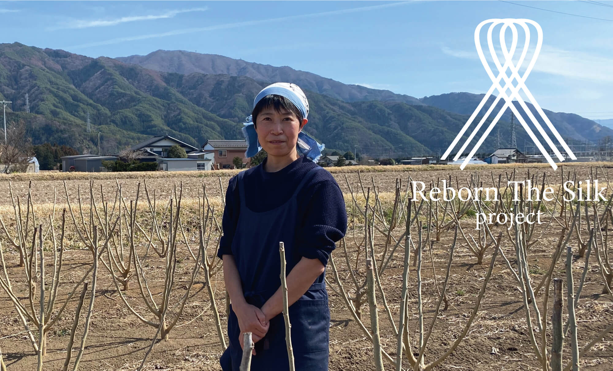 蚕の飼育が開始