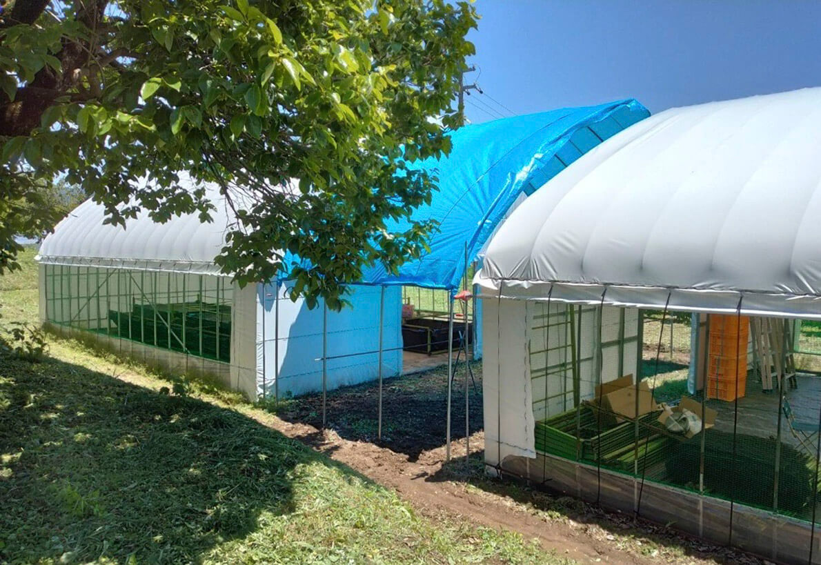 今回のプロジェクトのために用意された新しいハウス