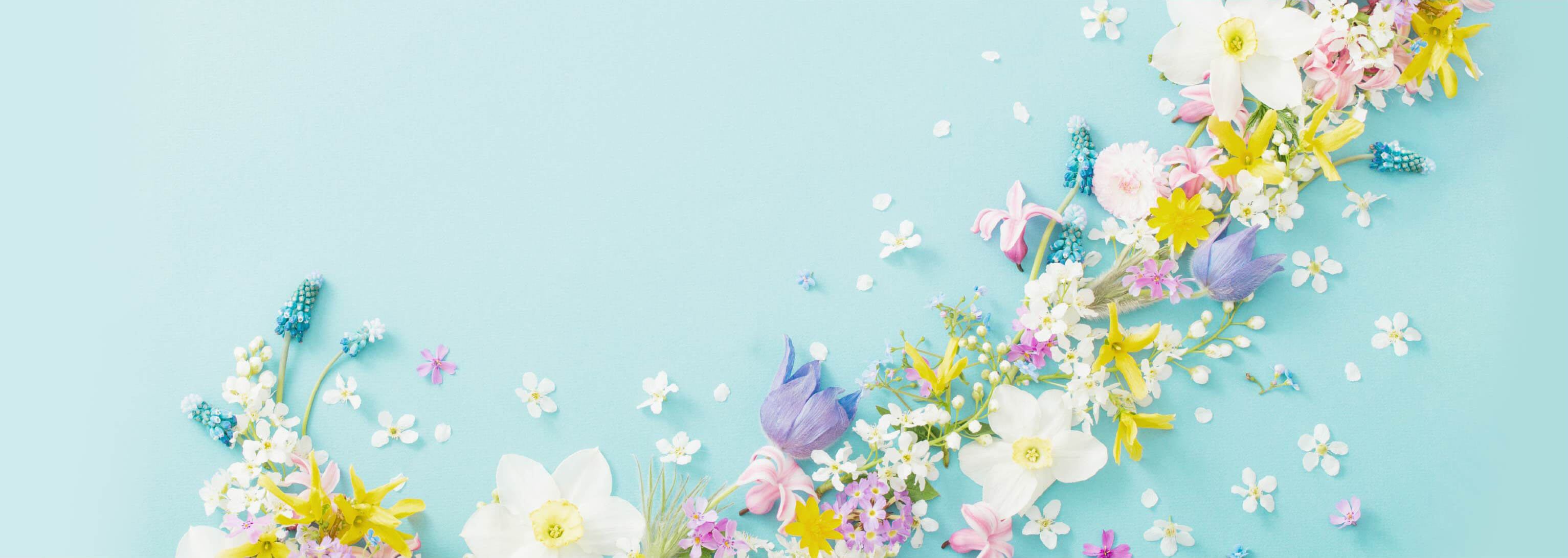 日本和装 春のきもの着付け教室さああなたも