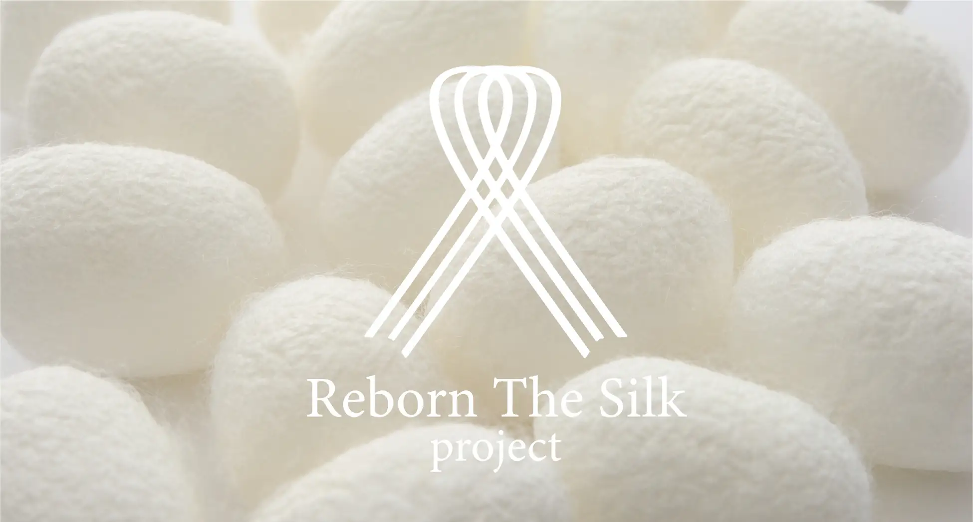 Reborn The Silk project